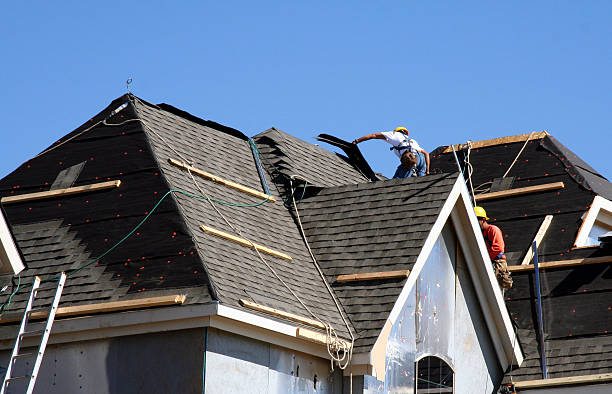 Best Metal Roofing Contractor  in Orleans, IN